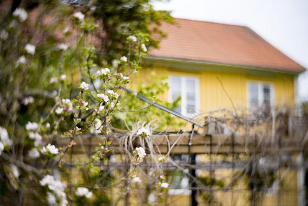 Vaestervik Rum Och Stugor Kültér fotó